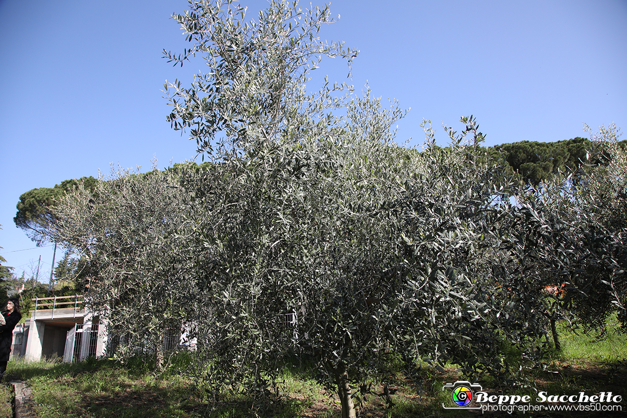 VBS_7137 - PressTour educational dedicato ai vini del Pinerolese e all’olio prodotto sulla collina di Pinerolo.jpg